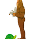 Step 1: Stand in front of the turtle with your feet shoulder-width apart.